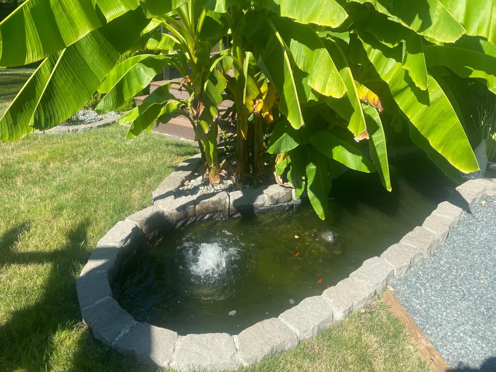 Rockwood House Bed and Breakfast Ναναΐμο Δωμάτιο φωτογραφία